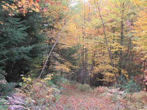 555 Bayley Hazen Road Greensboro VT 05841