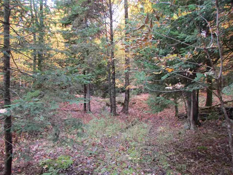 555 Bayley Hazen Road Greensboro VT 05841