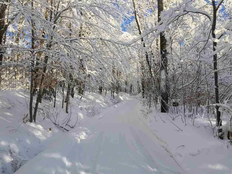 00 Shaw Road Roxbury VT 05663