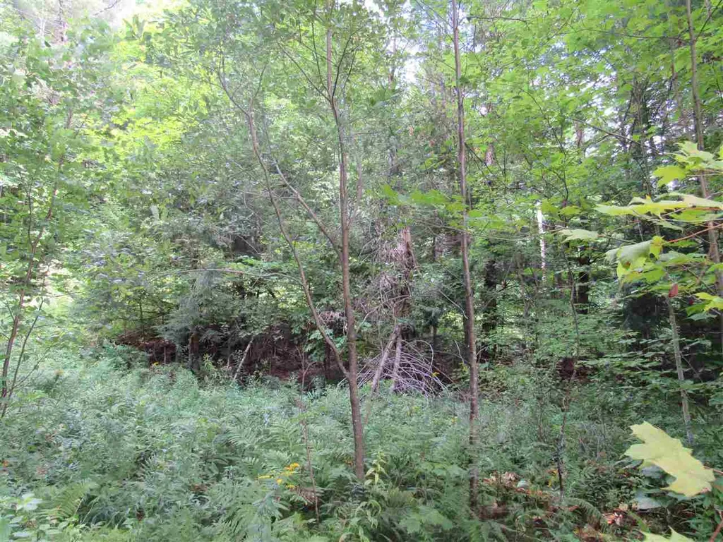 0 Loop Road Troy VT 05868