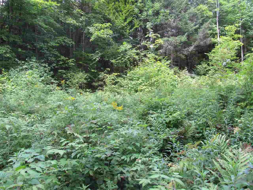 0 Loop Road Troy VT 05868