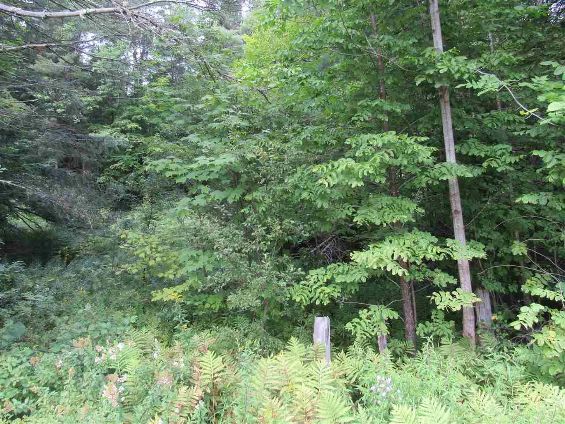0 Loop Road Troy VT 05868
