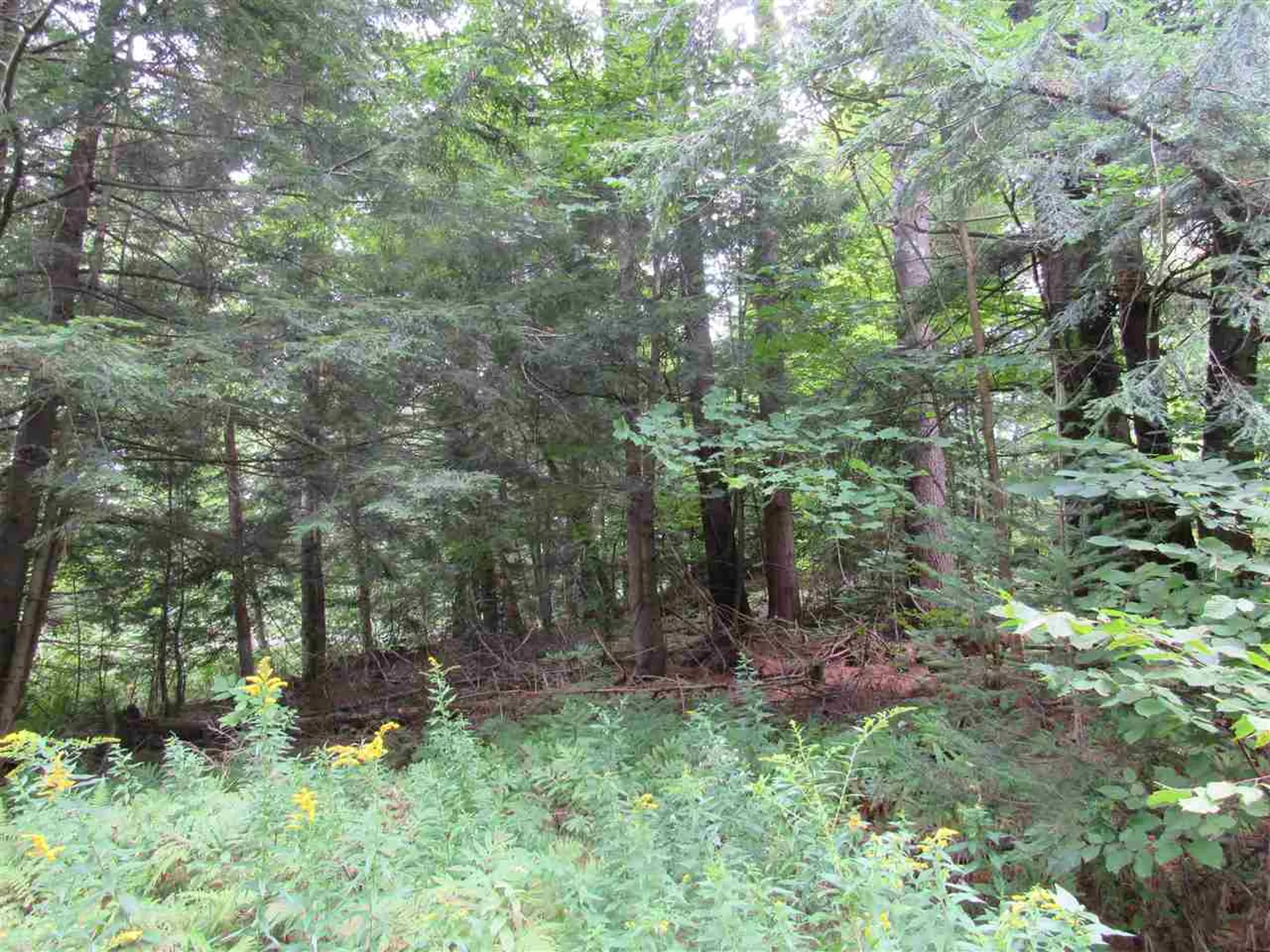 0 Loop Road Troy VT 05868