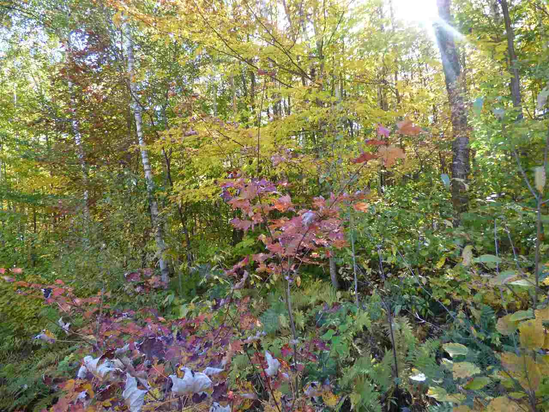 0 Barton Road Albany VT 05820