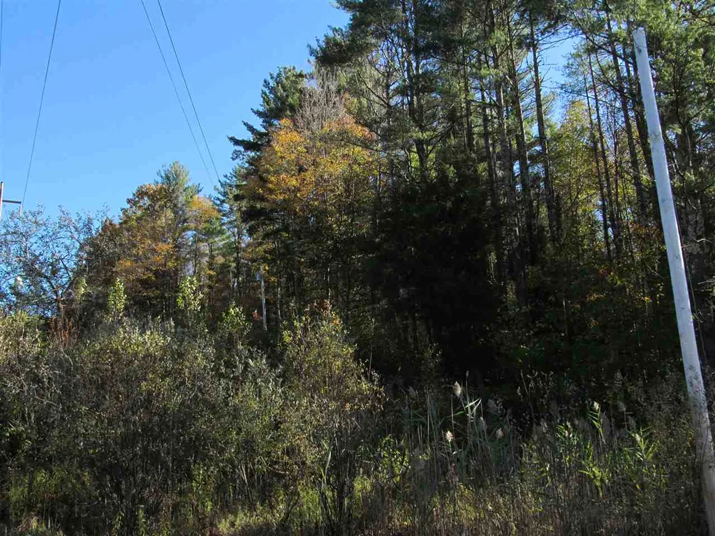 246 Lincoln Hill Road Shrewsbury VT 05738