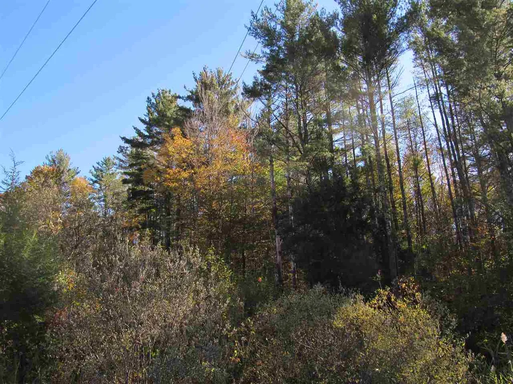 246 Lincoln Hill Road Shrewsbury VT 05738