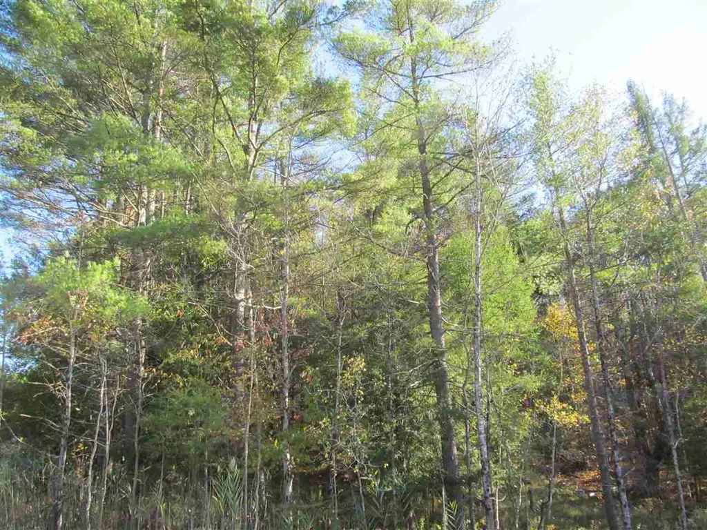 246 Lincoln Hill Road Shrewsbury VT 05738