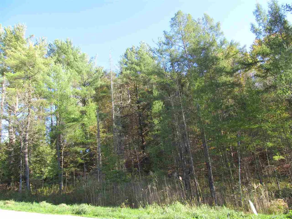 246 Lincoln Hill Road Shrewsbury VT 05738