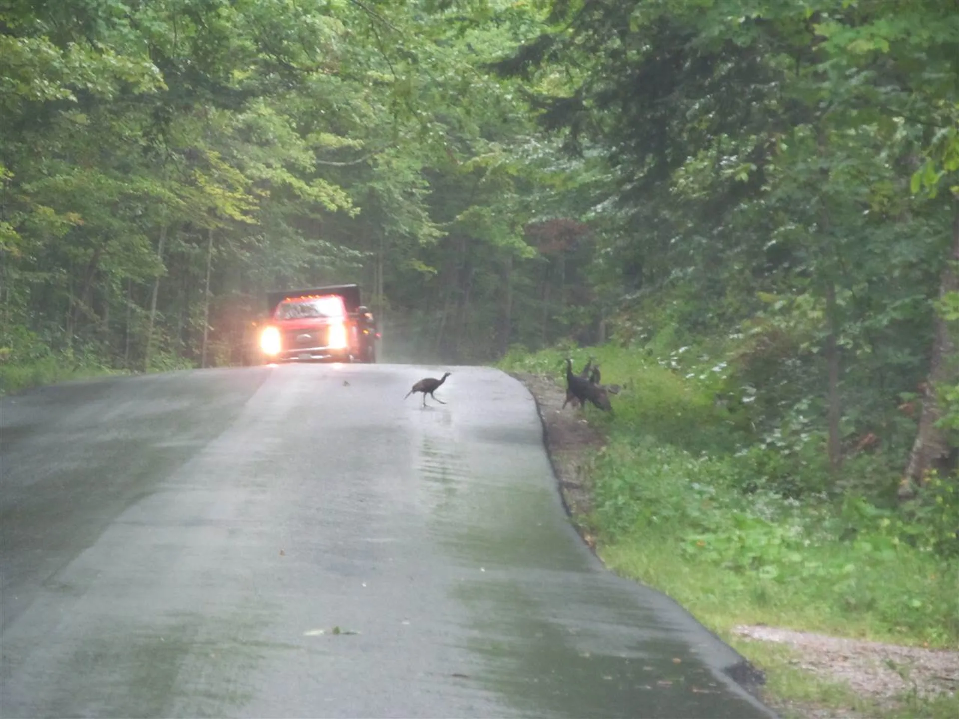 246 Lincoln Hill Road Shrewsbury VT 05738