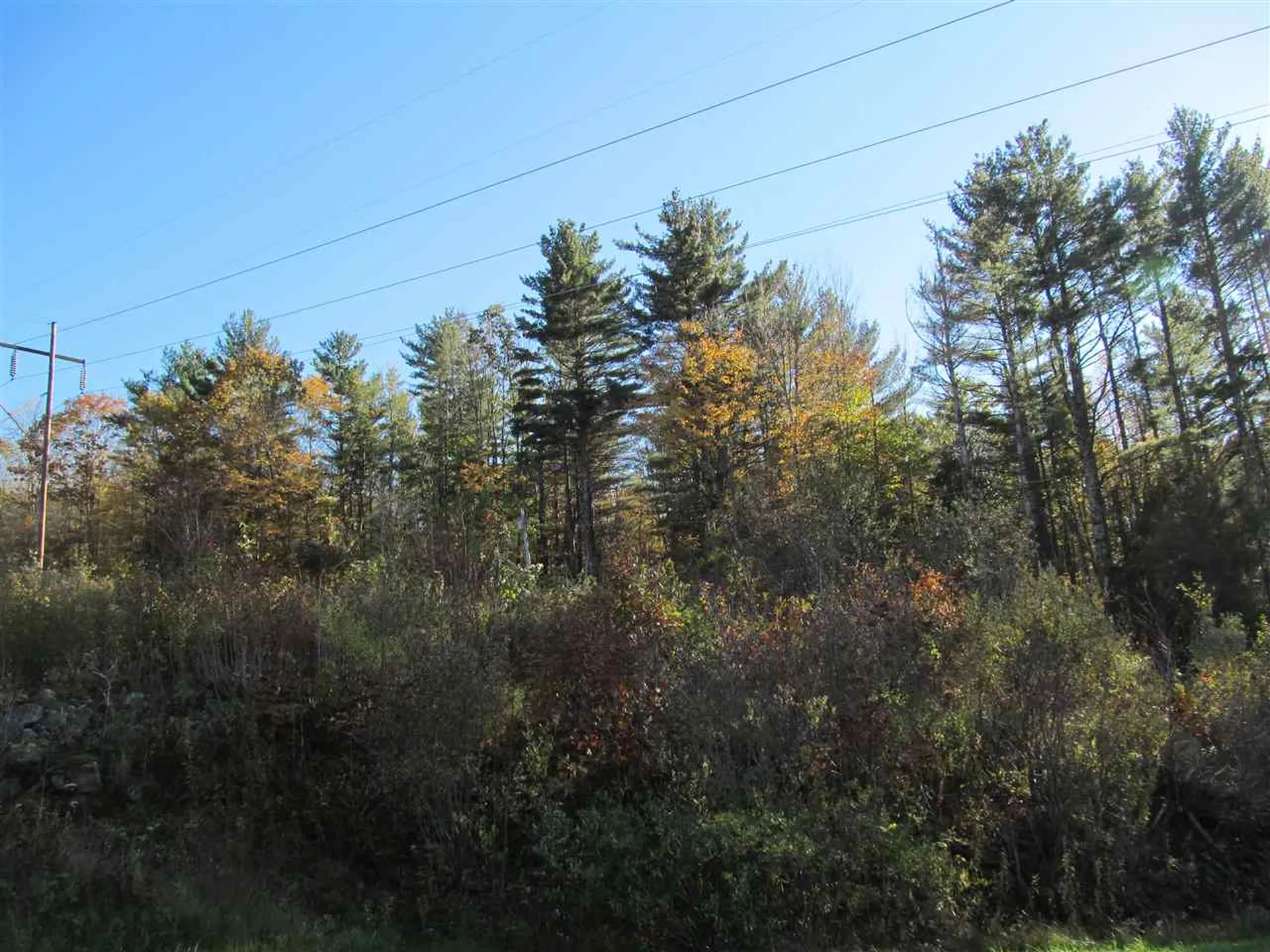 246 Lincoln Hill Road Shrewsbury VT 05738