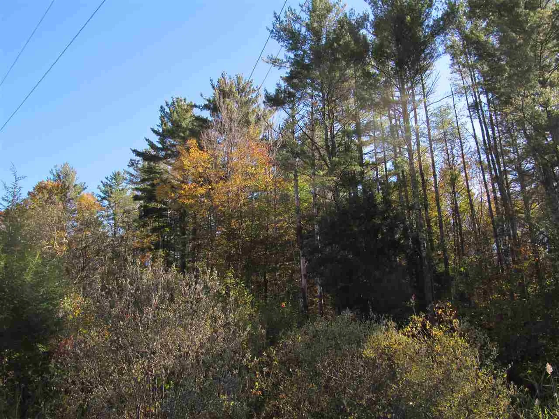246 Lincoln Hill Road Shrewsbury VT 05738