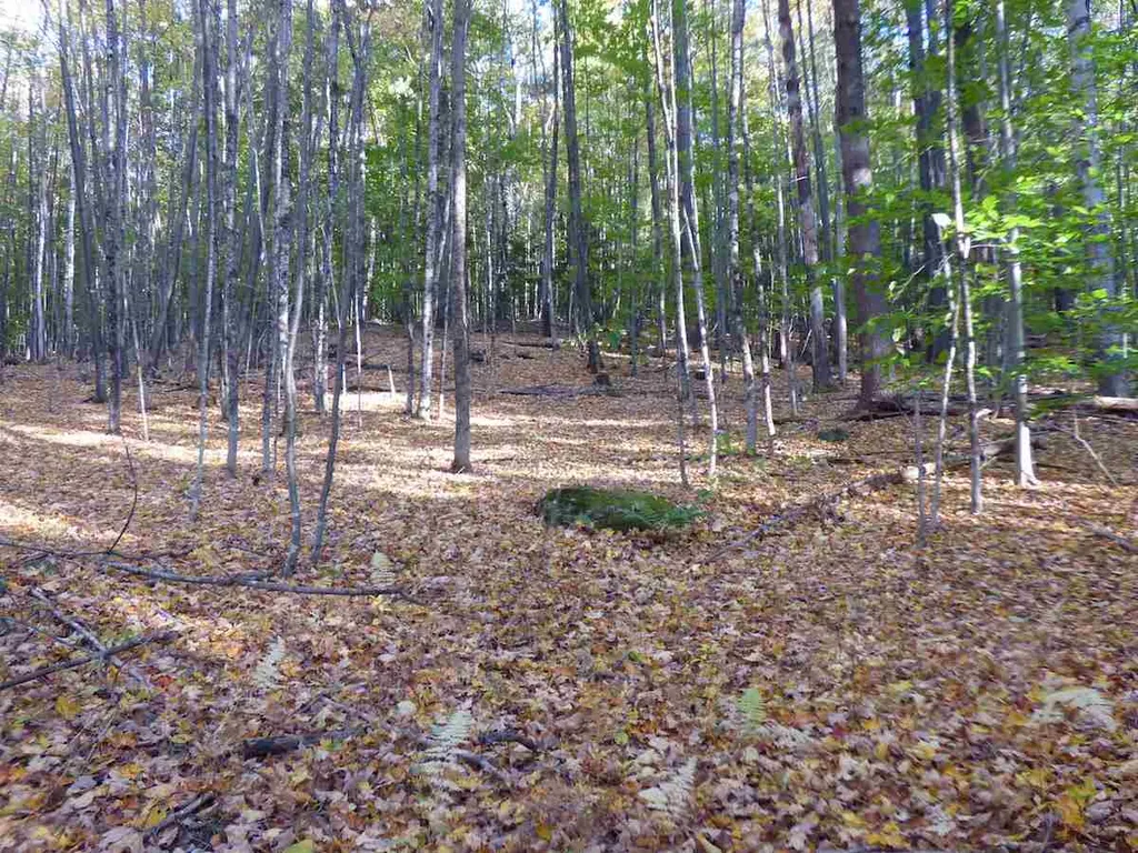 00 Kelly Hill Road Warner NH 03278