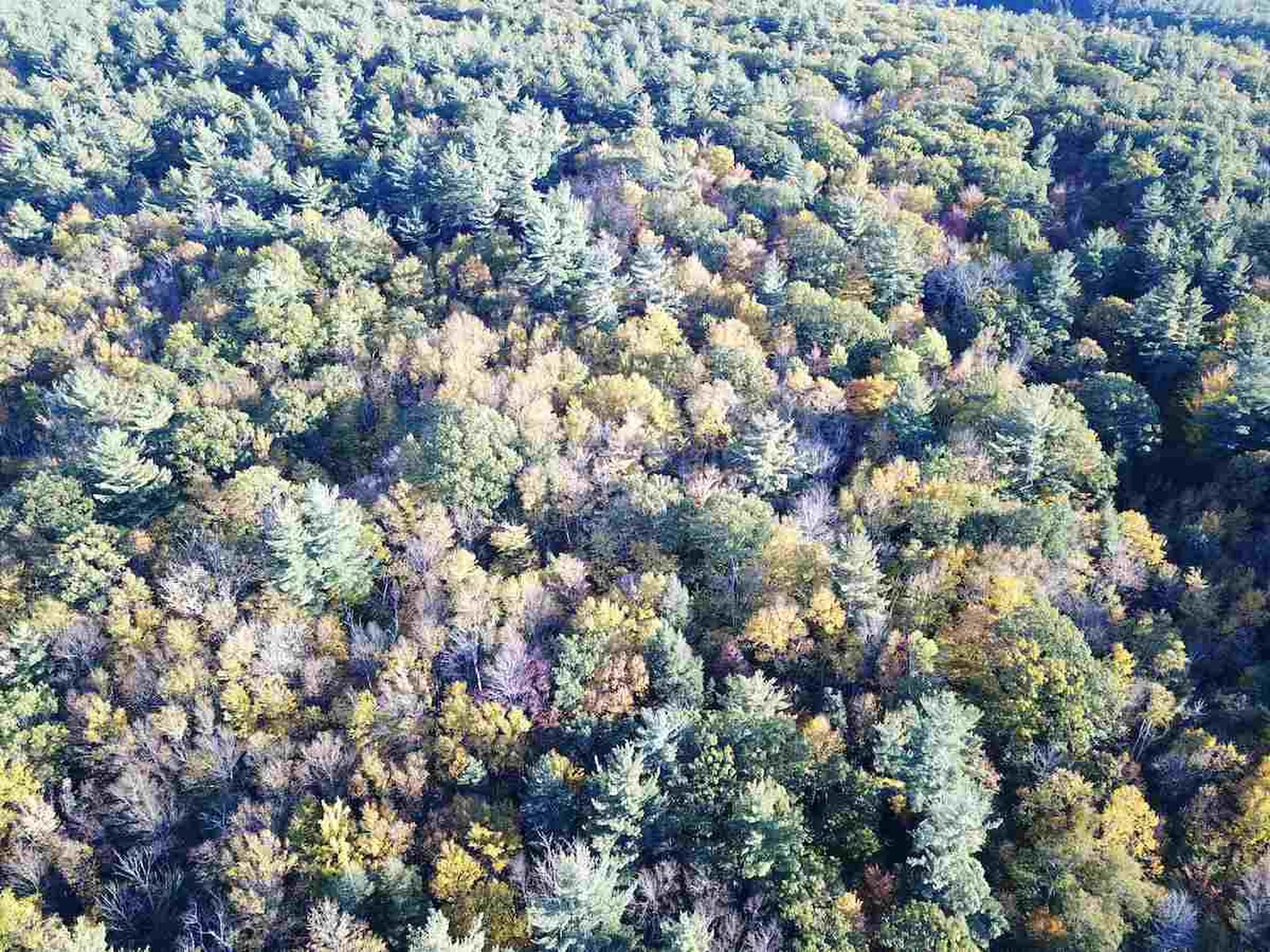 00 Kelly Hill Road Warner NH 03278