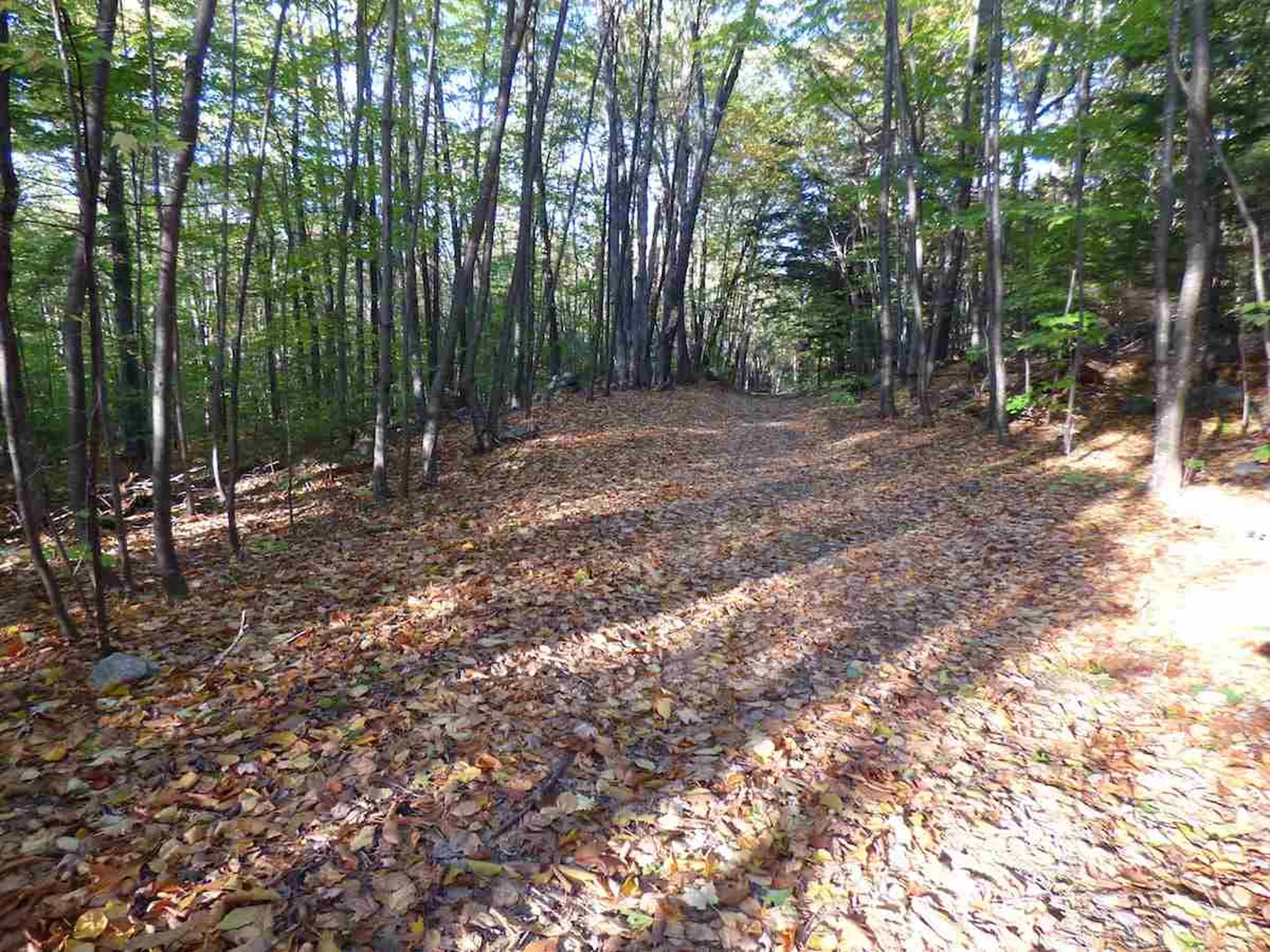 00 Kelly Hill Road Warner NH 03278