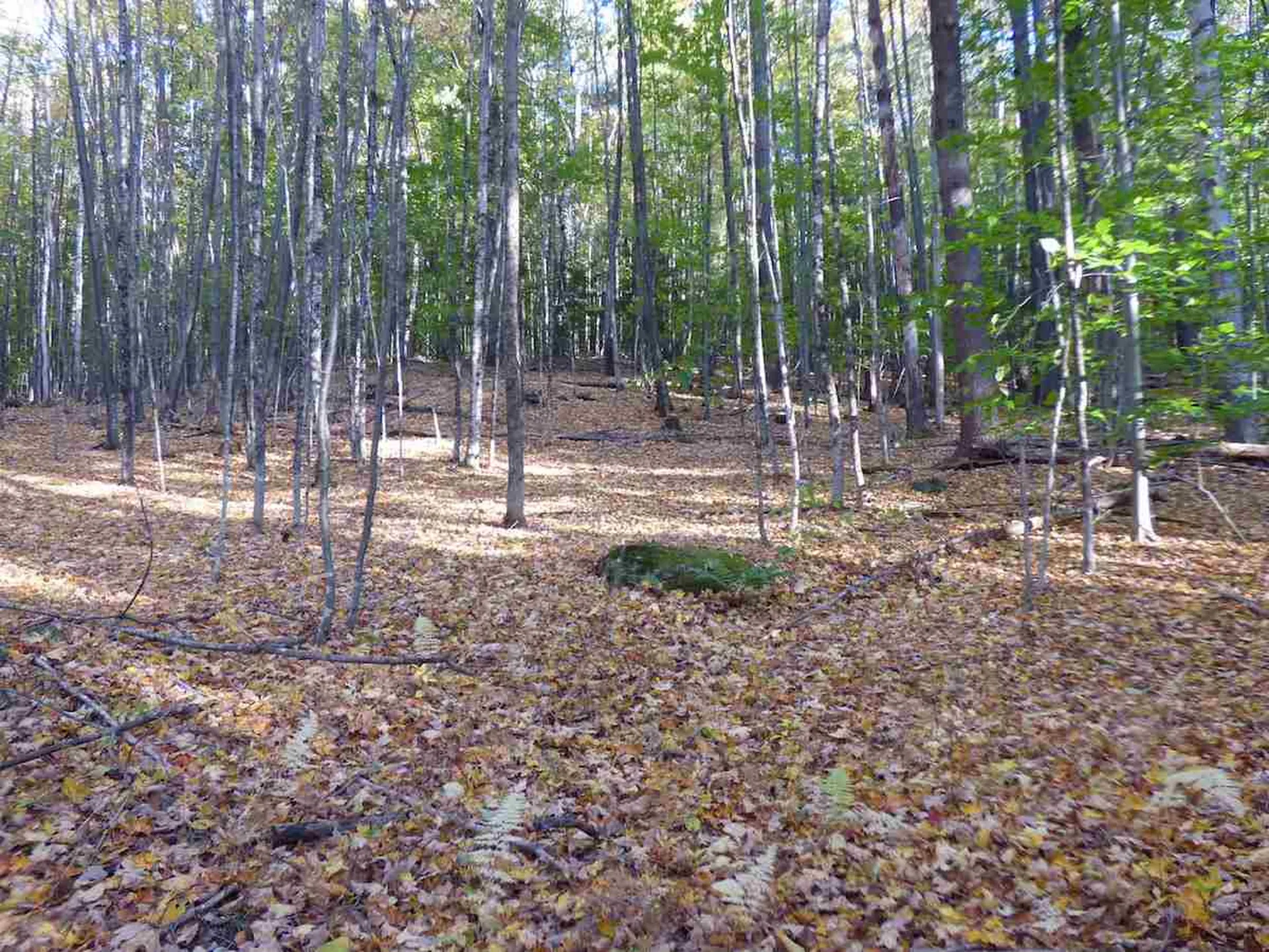 00 Kelly Hill Road Warner NH 03278