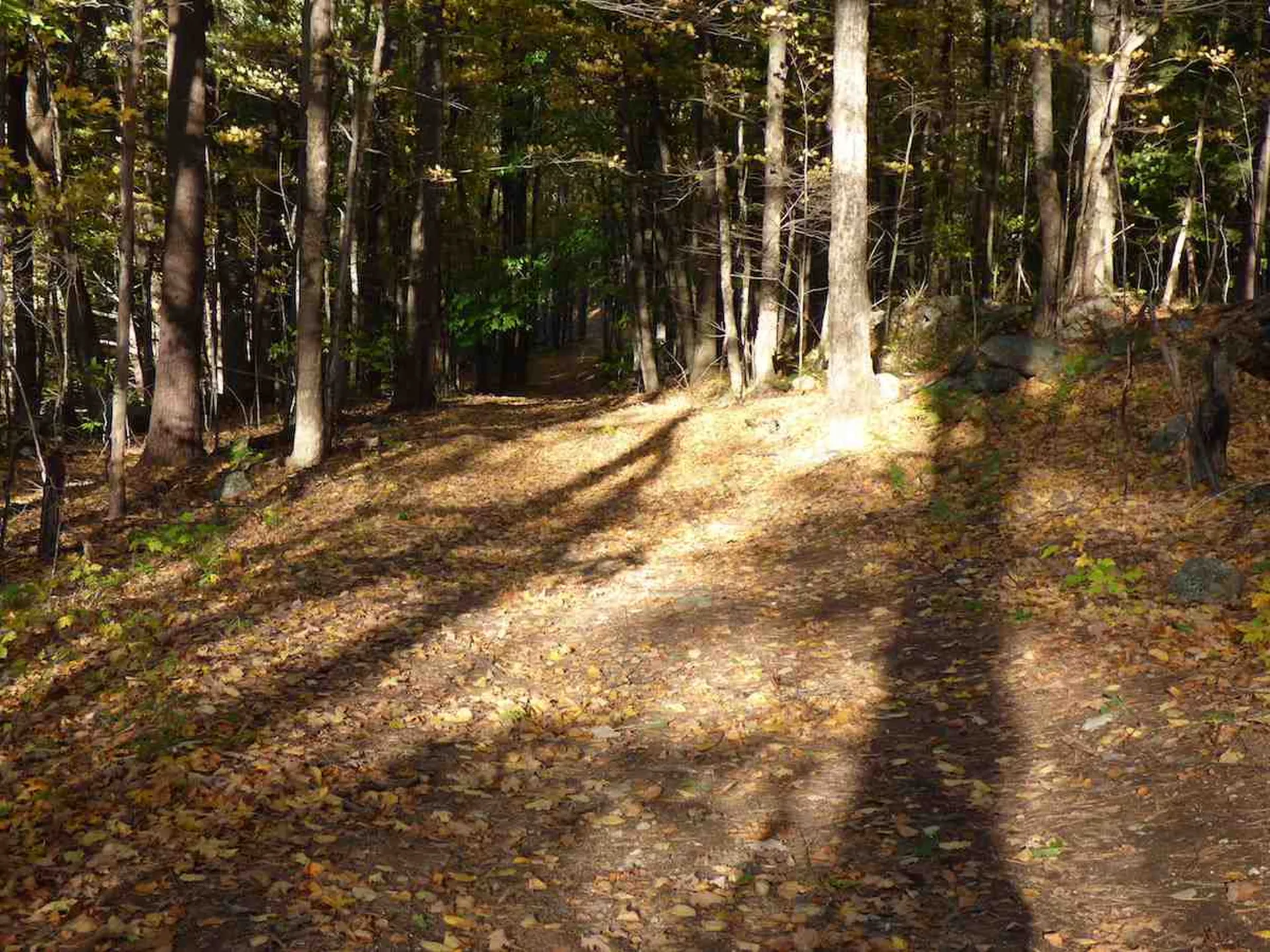 00 Kelly Hill Road Warner NH 03278