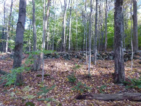 00 Kelly Hill Road Warner NH 03278
