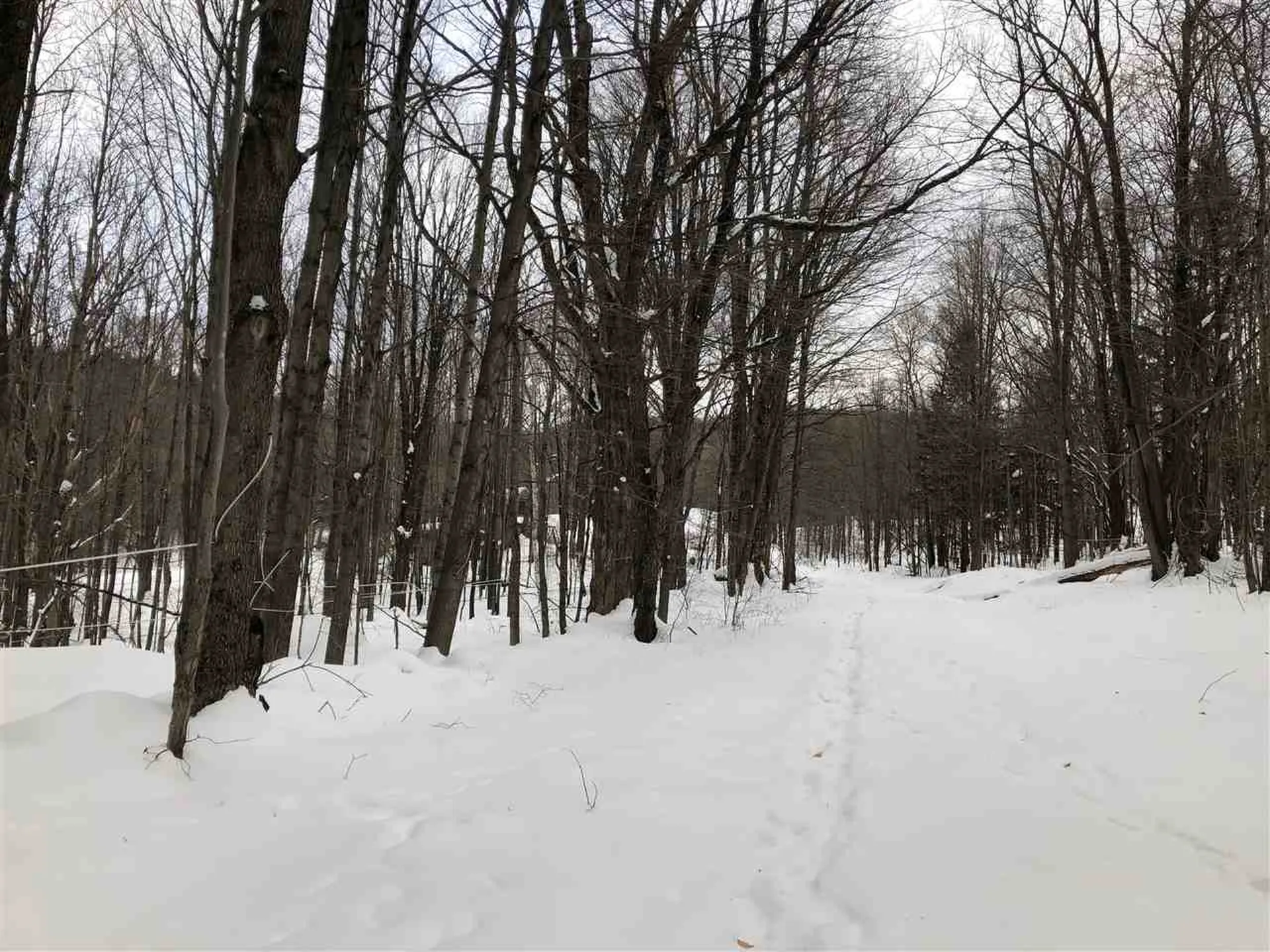 000 Old Quarry Road Fayston VT 05673