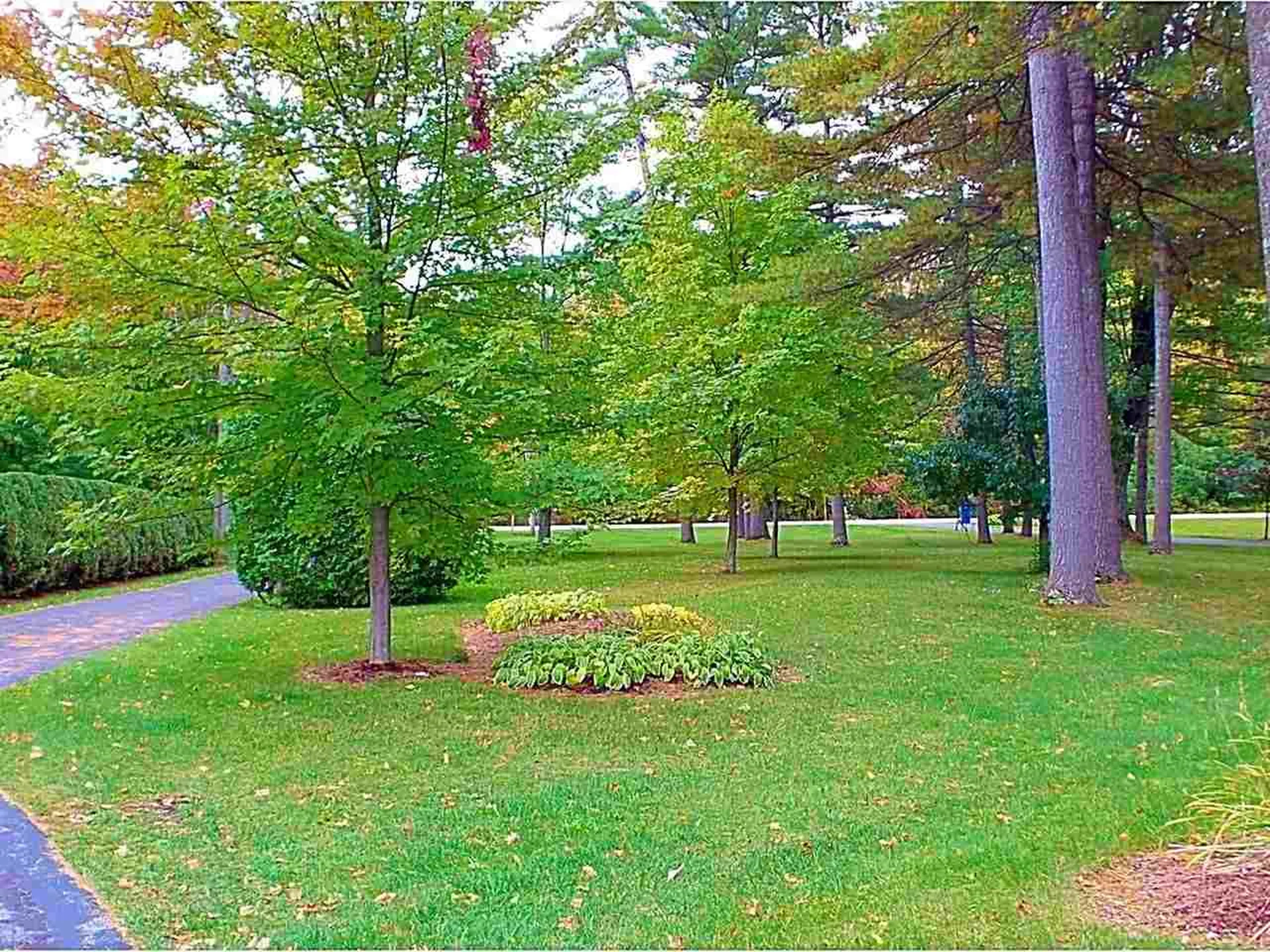 196 Maquam Shore Road Swanton VT 05488