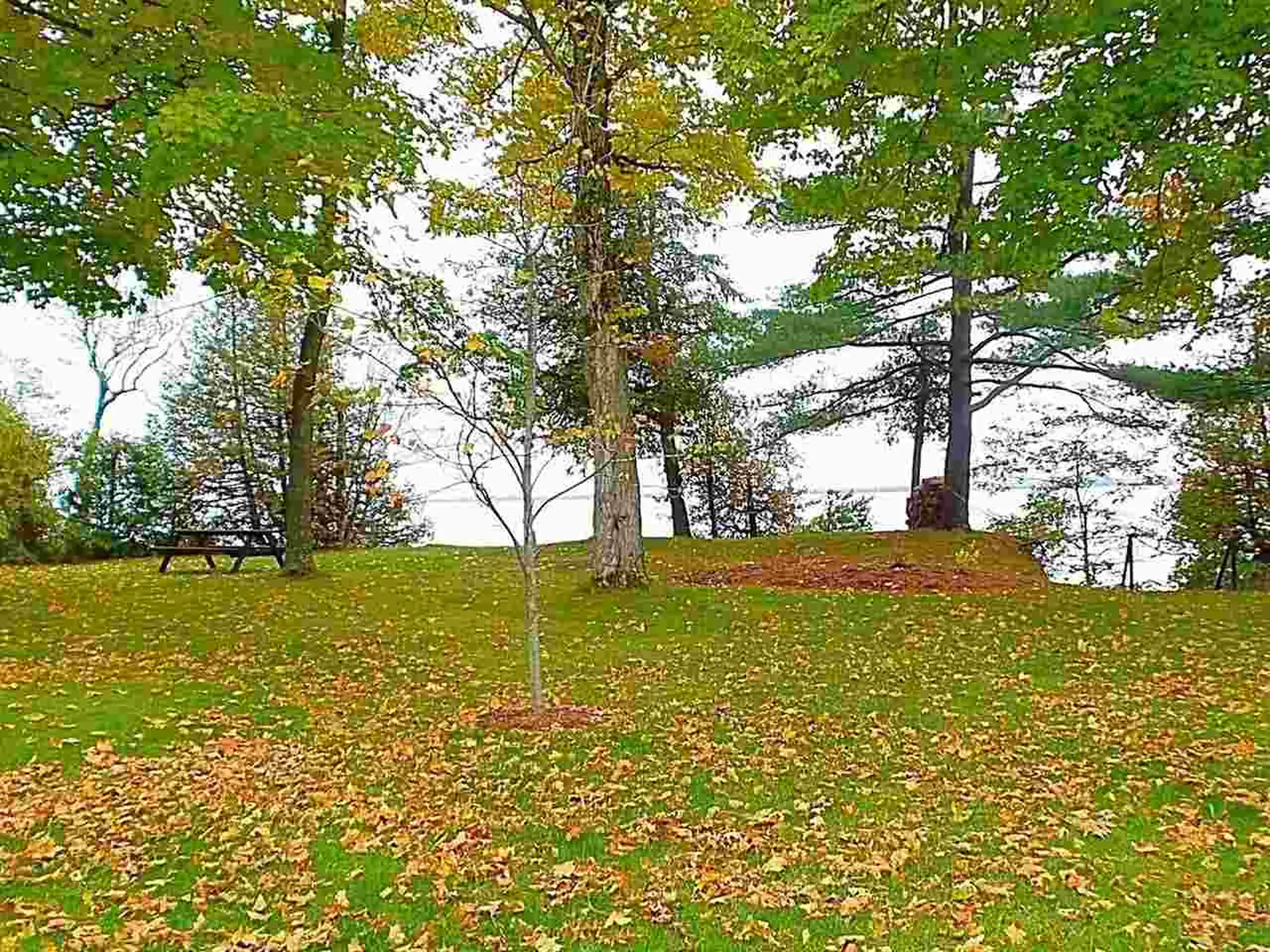 196 Maquam Shore Road Swanton VT 05488