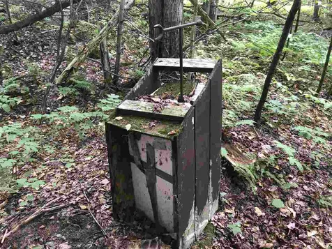 North Pitkin Road Albany VT 05820