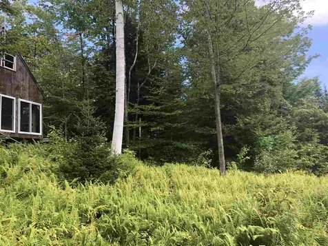 North Pitkin Road Albany VT 05820