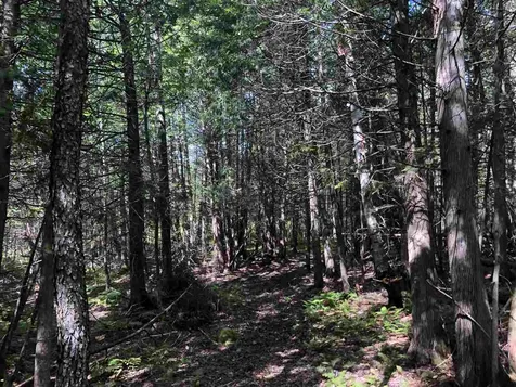 North Pitkin Road Albany VT 05820