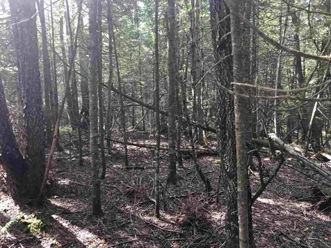 North Pitkin Road Albany VT 05820