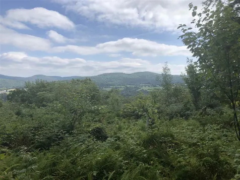 North Pitkin Road Albany VT 05820