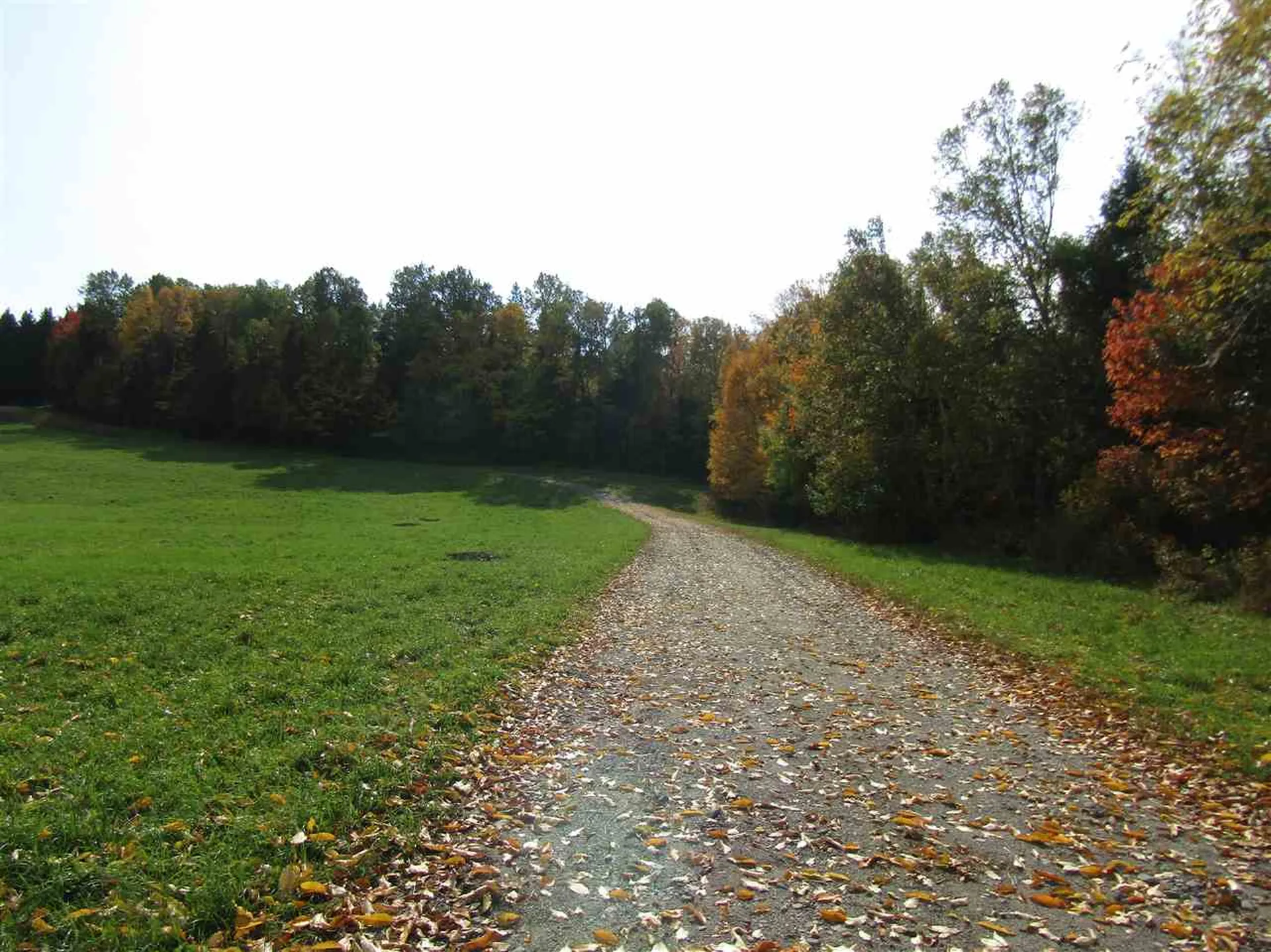 -- Titus Hill Road Colebrook NH 03576