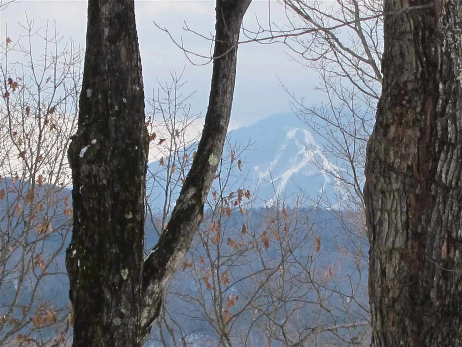 1009 Stone Chimney Road Reading VT 05062