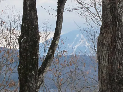 1009 Stone Chimney Road Reading VT 05062