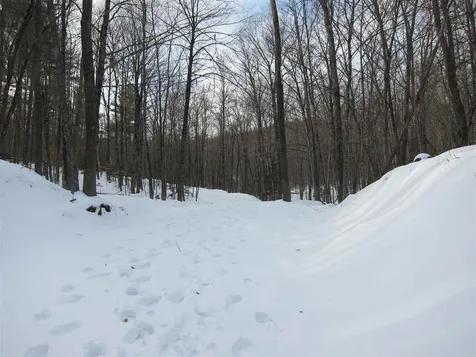 1009 Stone Chimney Road Reading VT 05062