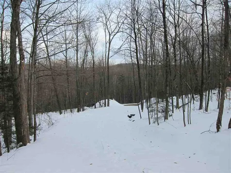 1009 Stone Chimney Road Reading VT 05062