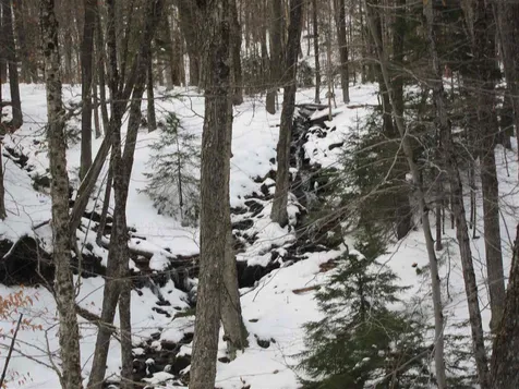1009 Stone Chimney Road Reading VT 05062