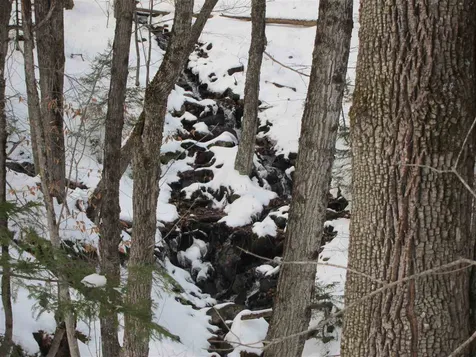 1009 Stone Chimney Road Reading VT 05062