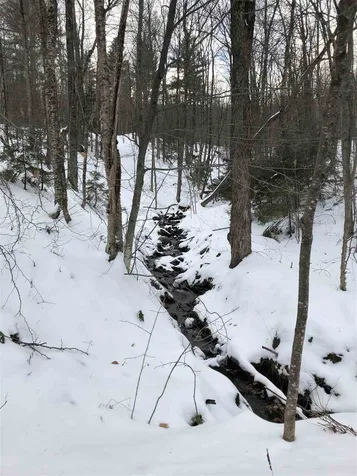 1009 Stone Chimney Road Reading VT 05062