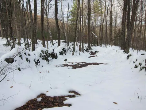 1009 Stone Chimney Road Reading VT 05062