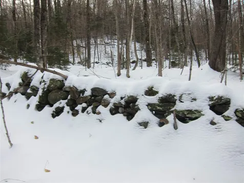 1009 Stone Chimney Road Reading VT 05062