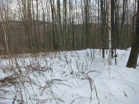 1009 Stone Chimney Road Reading VT 05062