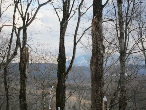 1009 Stone Chimney Road Reading VT 05062