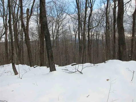 1009 Stone Chimney Road Reading VT 05062