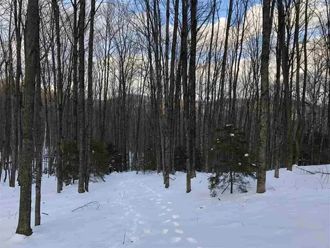 1009 Stone Chimney Road Reading VT 05062