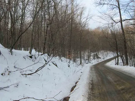 1009 Stone Chimney Road Reading VT 05062