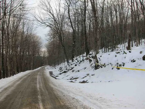 1009 Stone Chimney Road Reading VT 05062