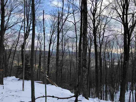 1009 Stone Chimney Road Reading VT 05062