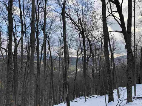 1009 Stone Chimney Road Reading VT 05062