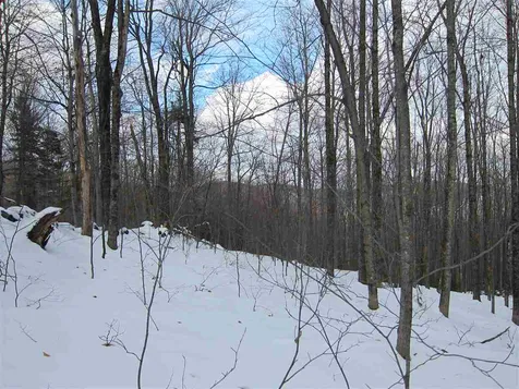 1009 Stone Chimney Road Reading VT 05062