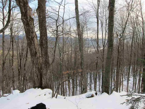 1009 Stone Chimney Road Reading VT 05062