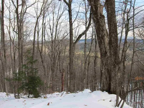 1009 Stone Chimney Road Reading VT 05062